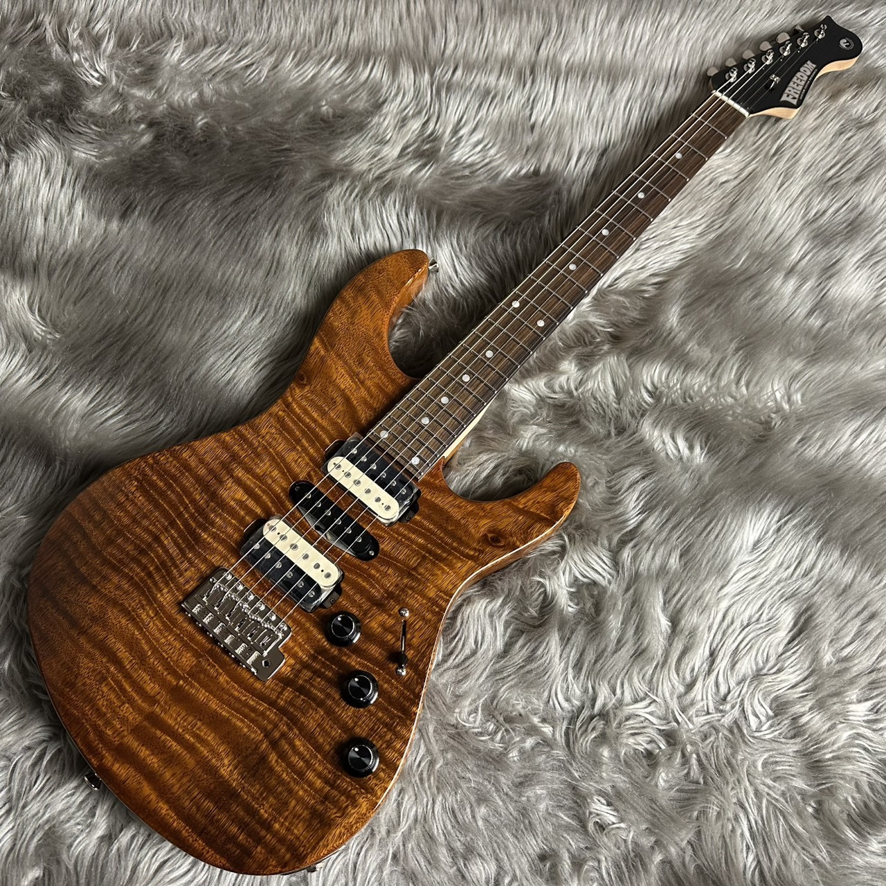 FREEDOM CUSTOM GUITAR RESEARCH EZa 24F FT HSH -晩秋【現物画像】（B