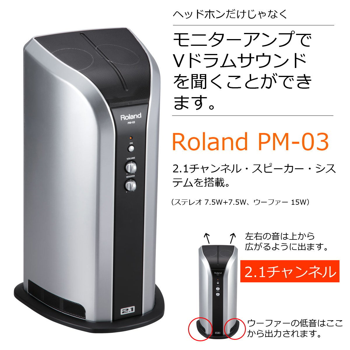 Roland PM-03 モニタースピーカー 電子ドラム - 楽器/器材