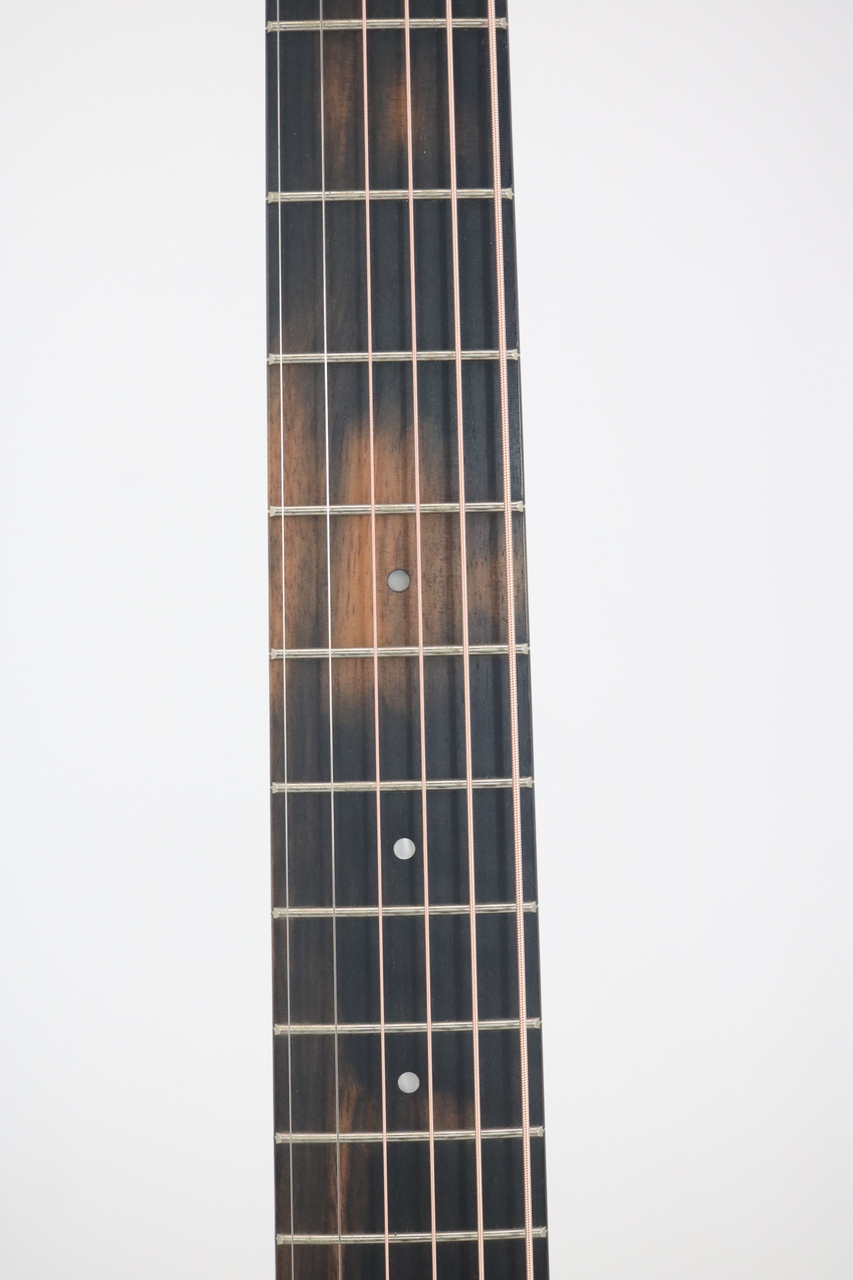 Taylor BABY T MAHO LH（新品）【楽器検索デジマート】