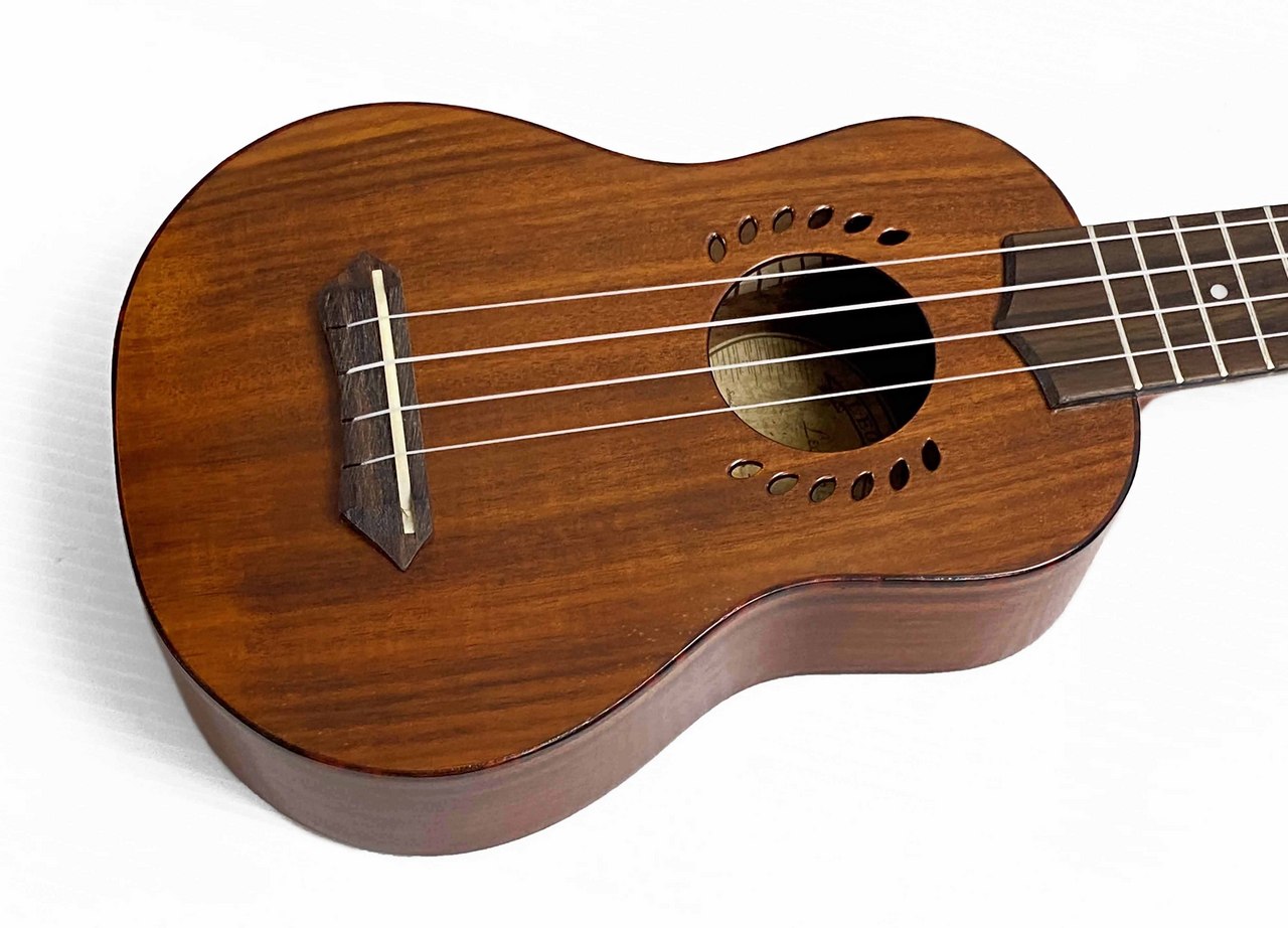 LEOLANI LK-2S（新品特価）【楽器検索デジマート】