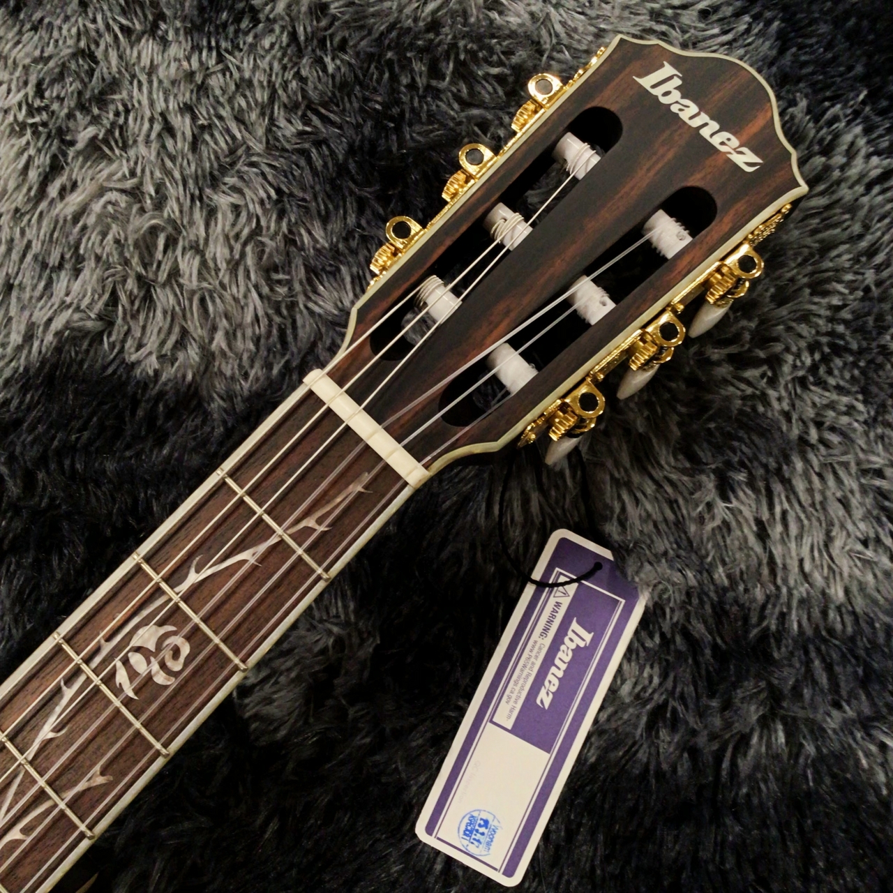 Ibanez TOD10N-TKF (Transparent Black Flat) Tim Henson Signature