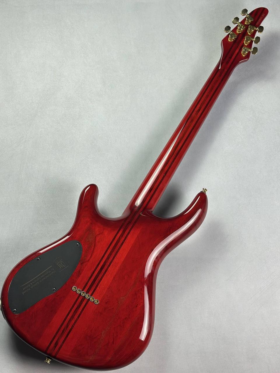 【値下げ】Mayones regius6 ケース2種【書類追加しました】 値下げ】Mayones regius6 ケース2種【書類追加しました】 値下げ