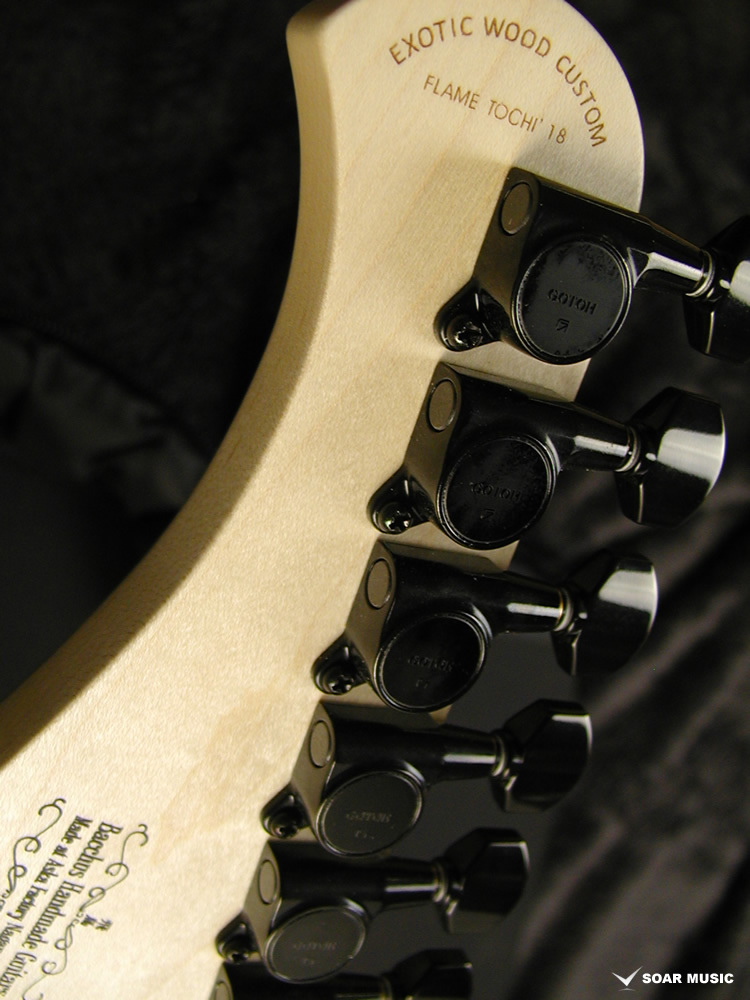 Bacchus T7-CUSTOM/E-MF'18 CGR-GRD（新品/送料無料）【楽器検索