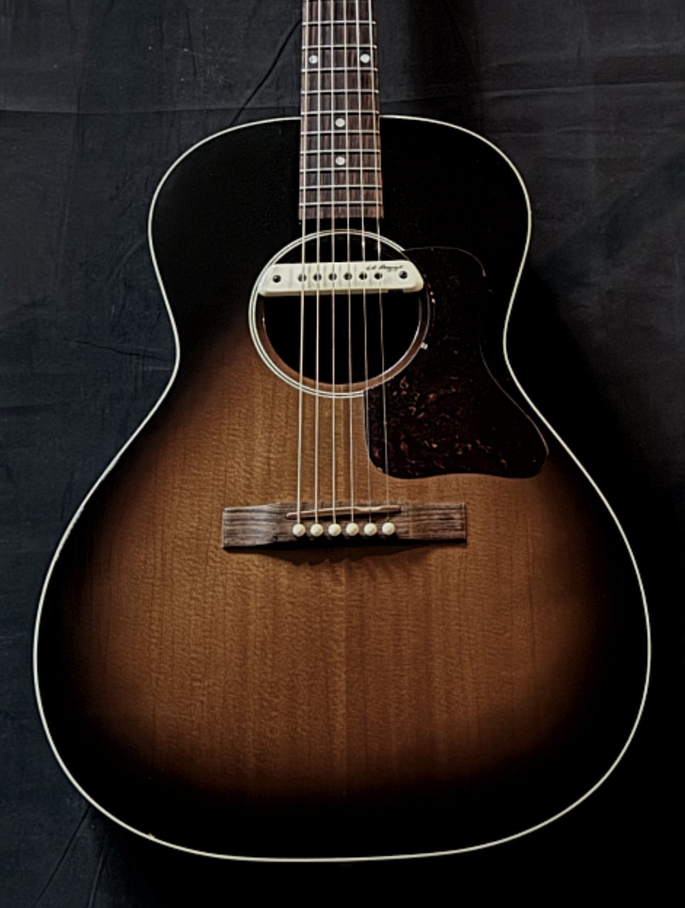 ギター Gibson Blues king Gibson BLUES KING（中古）【楽器検索デジマート】