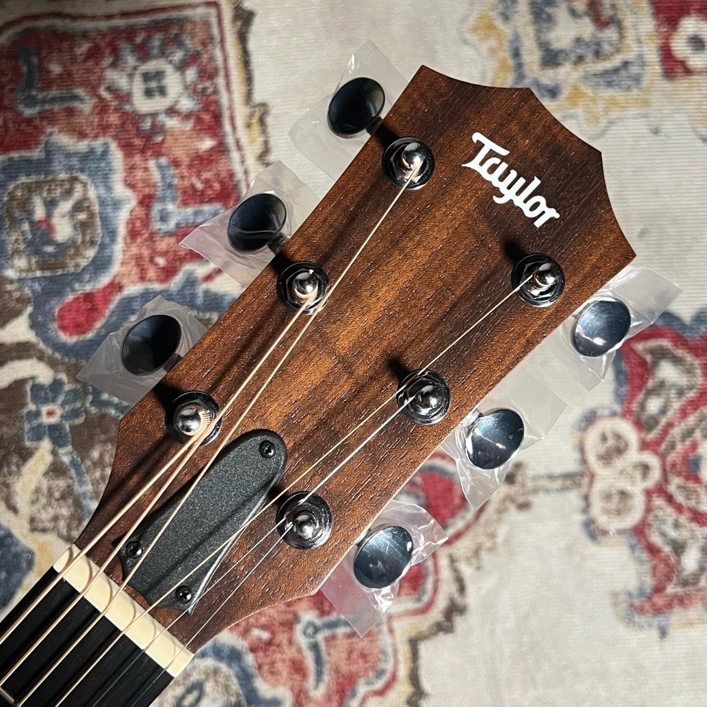 Taylor 24ce（新品特価/送料無料）【楽器検索デジマート】