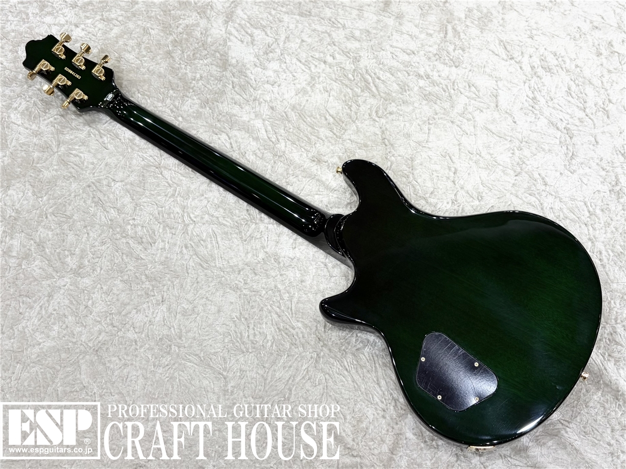EDWARDS E-U-HL2 / Malachite Green（新品/送料無料）【楽器検索
