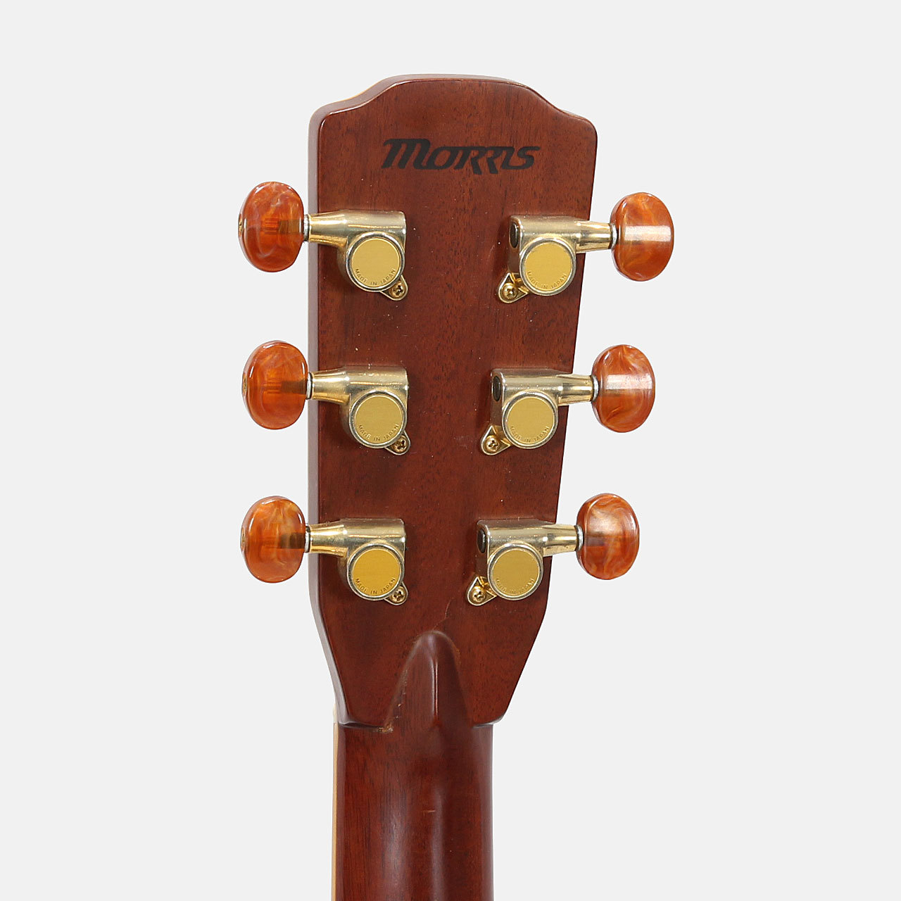 Morris MF-1001（中古）【楽器検索デジマート】