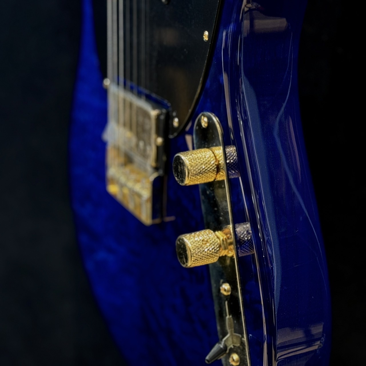 FREEDOM CUSTOM GUITAR RESEARCH 【選定オーダー】O.S.shaker FT-Load