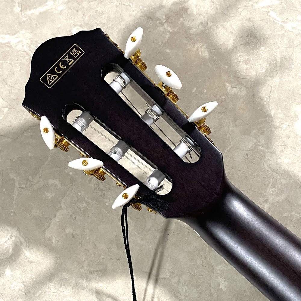 Ibanez FRH20FMN エレガットギター（新品/送料無料）【楽器検索