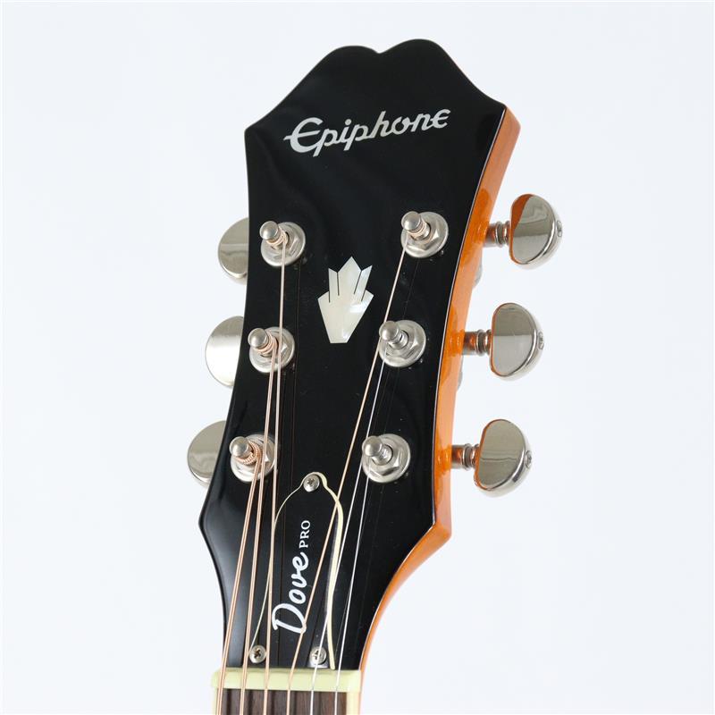 Epiphone USED 中古 DOVE PRO/VB エピフォン（中古）【楽器検索