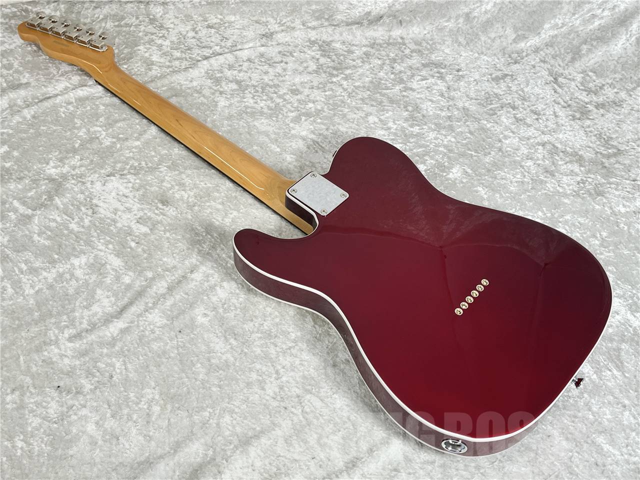 EDWARDS E-TE-CTM (Candy Apple Red)（新品/送料無料）【楽器検索