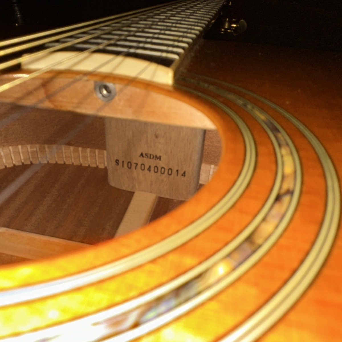 Greg Bennett ASDM ハードケース付き Acoustic Guitar（中古/送料無料