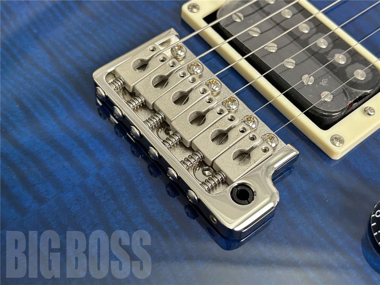 Paul Reed Smith(PRS) SE Custom 24 (Whale Blue)（新品/送料無料