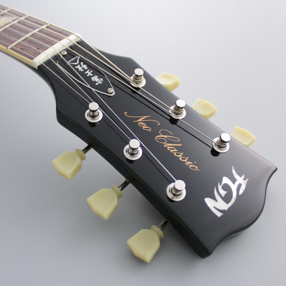 FUJIGEN(FGN) NLS100RMPTB-CAG(Candy Apple Green)【ローン金利0