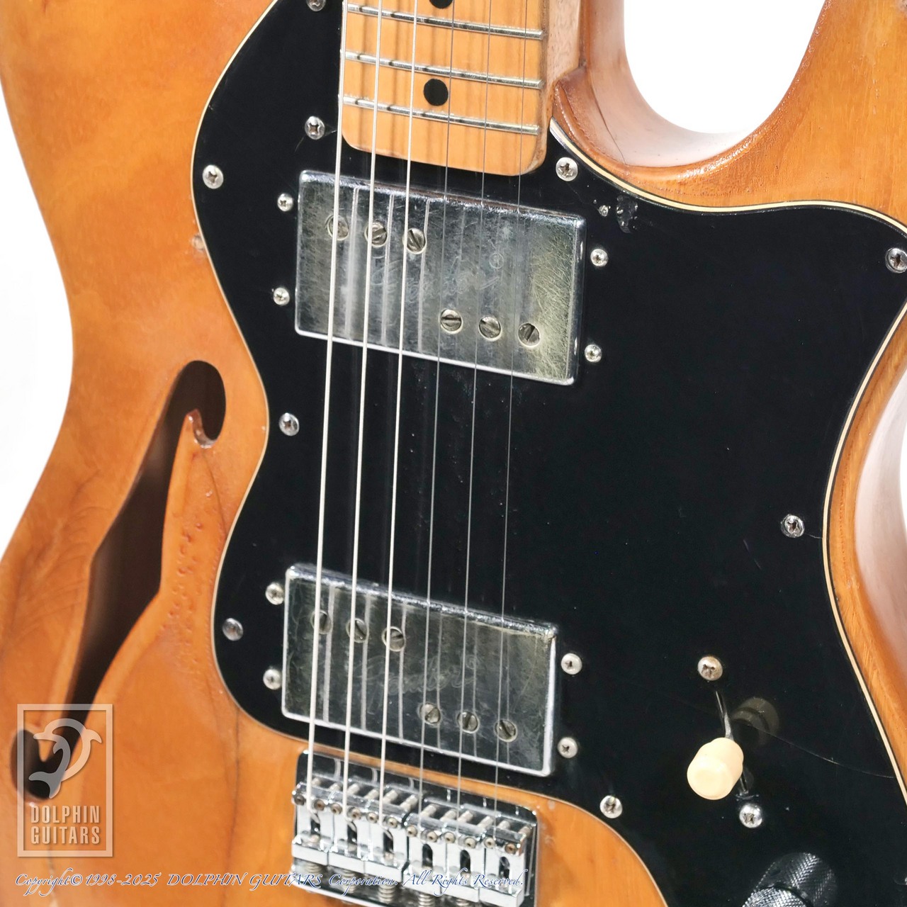 Fender Telecaster Thinline（ビンテージ）【楽器検索デジマート】