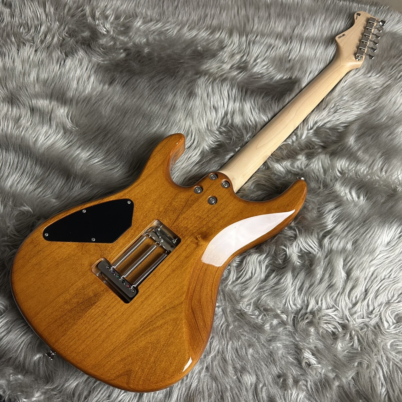 ギター FREEDOM CUSTOM GUITAR RESEARCH EZa 24f Freedom Custom Guitar Research | C.S. EZa 24F Proto – Zanshin