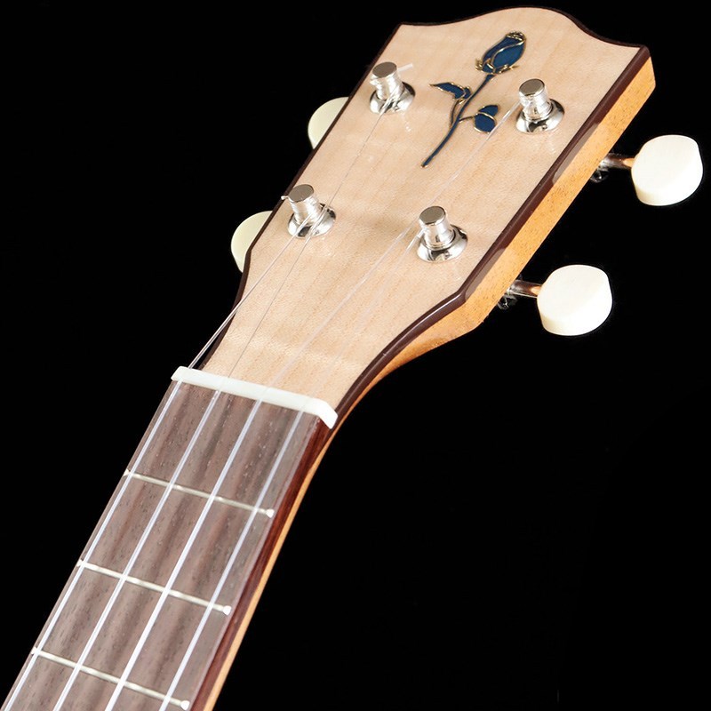FUJIGEN(FGN) FGN Acoustic FUS-TC [Concert] フジゲン（新品