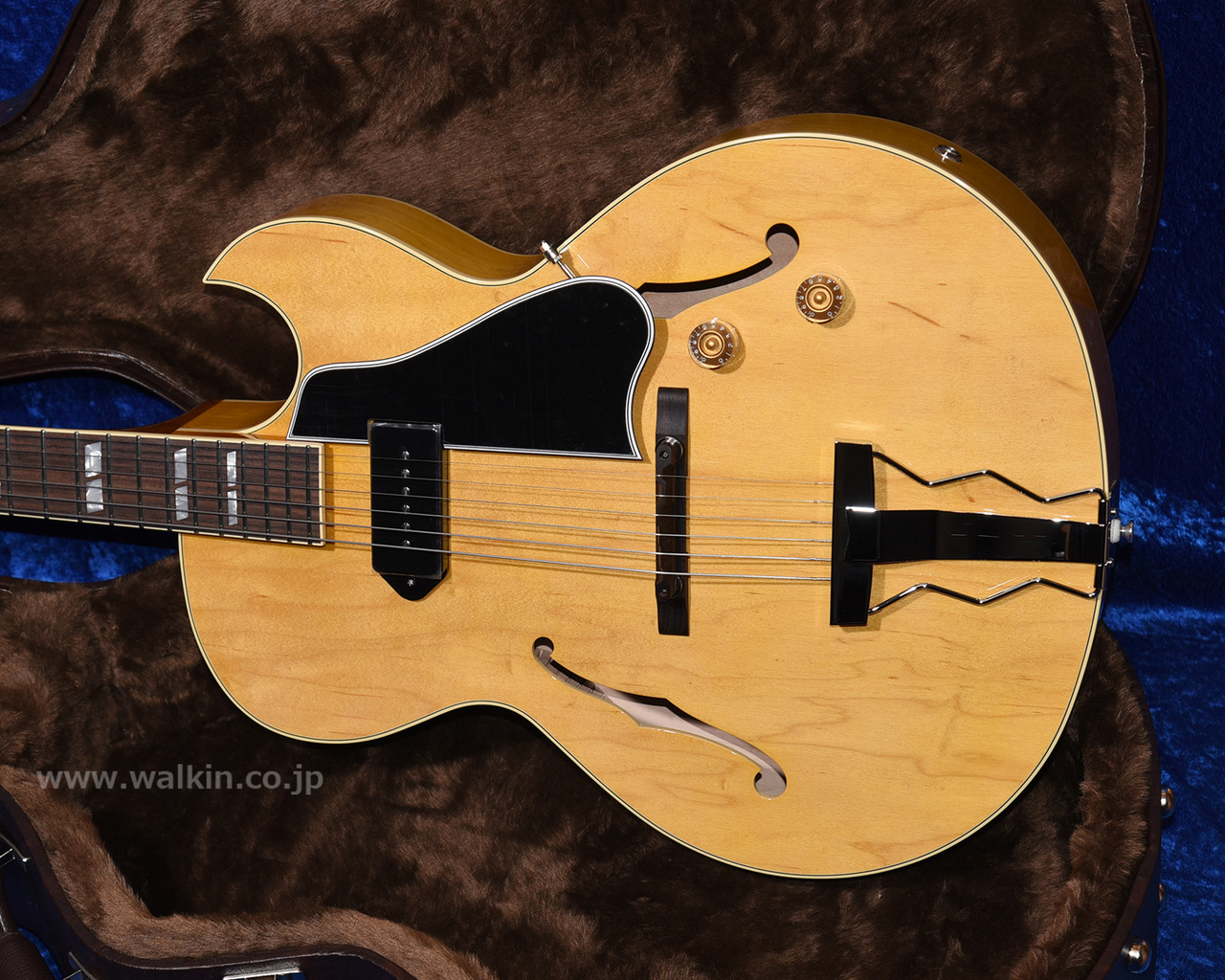 Archtop Tribute AT105 Classic（新品）【楽器検索デジマート】