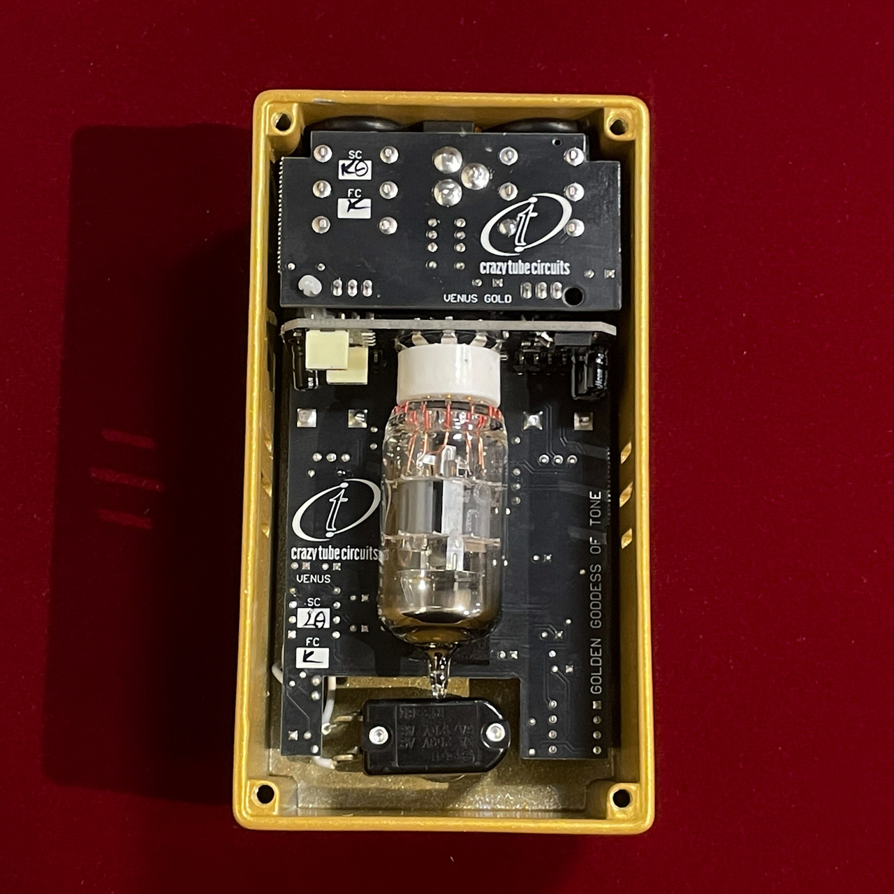 Crazy Tube Circuits Venus JAPAN Limited Edition 【日本限定50台の