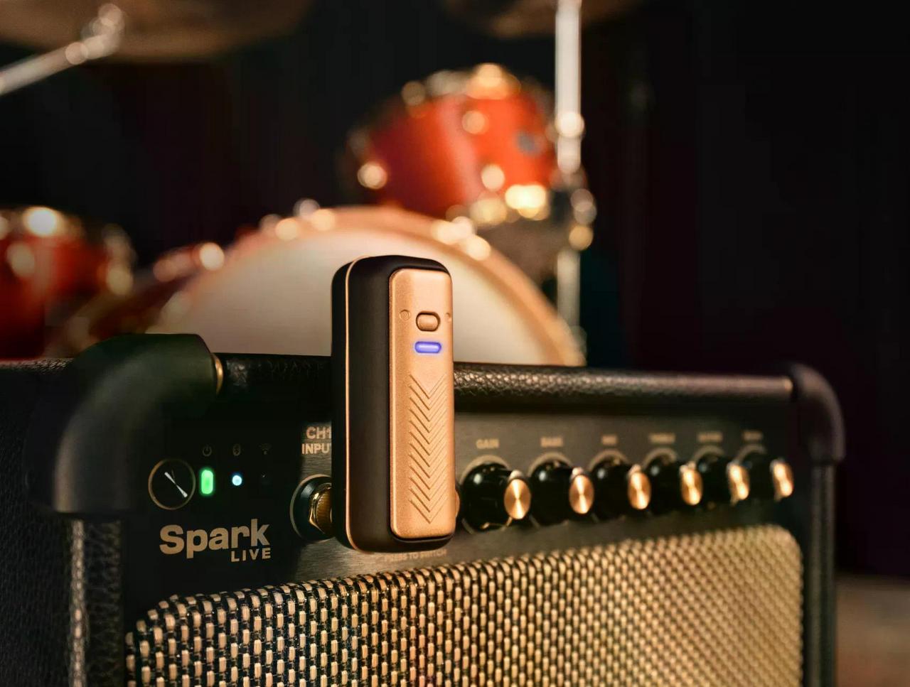 Positive Grid Spark Go 白 + ワイヤレス (スパークLINK) SET（新品