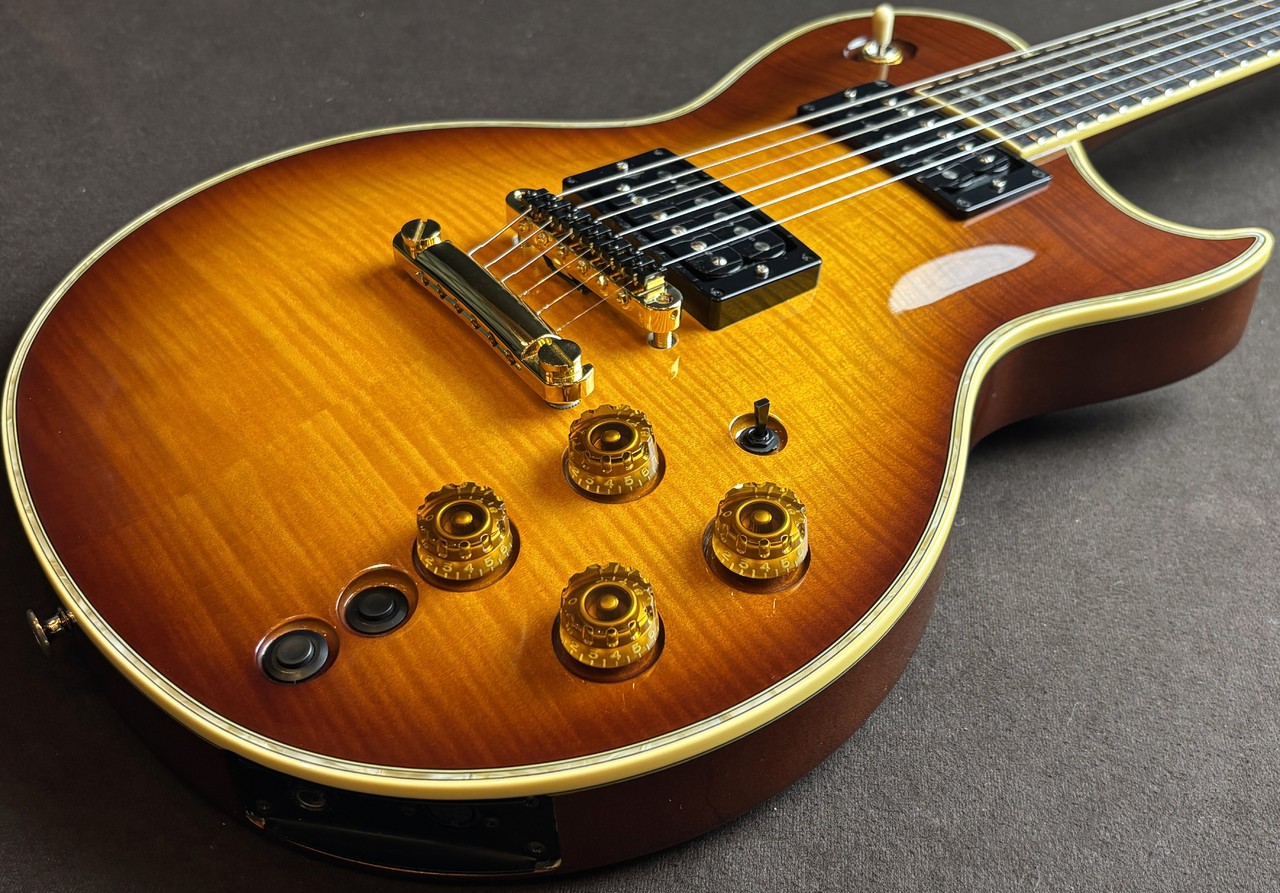 Aria Custom Pro - 希少 AP Shop SHOP II pro エレアコ AET-70 ケース