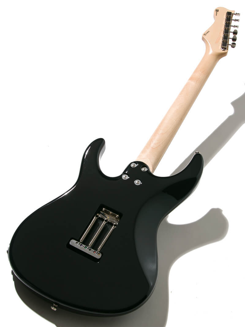 FREEDOM CUSTOM GUITAR RESEARCH C.S. EZa 24F Proto Black 2020（中古