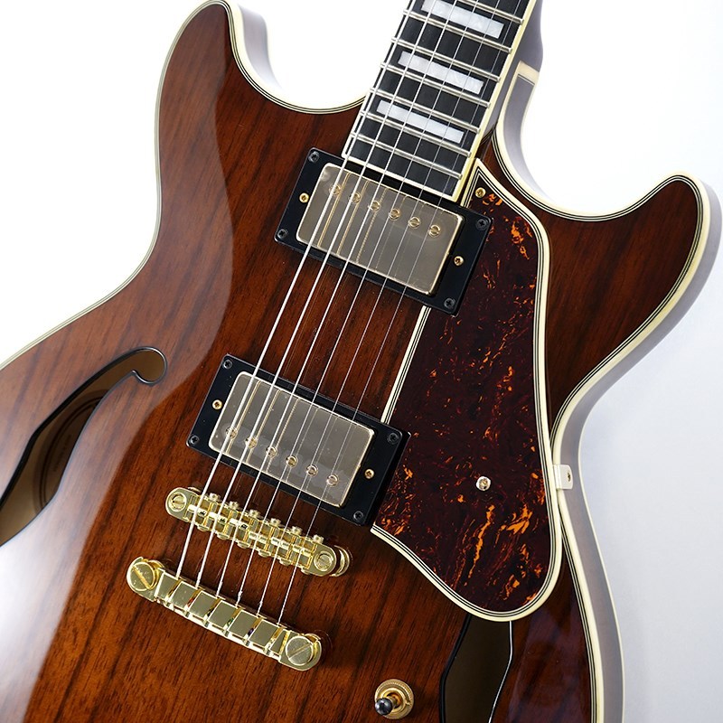 Ibanez Artcore Expressionist AM93ME-NT [SPOT MODEL]（新品）【楽器