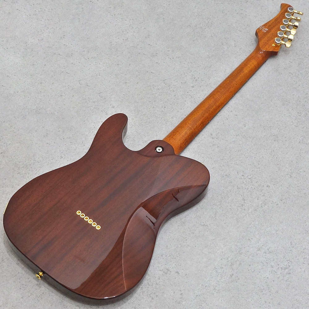 Kz Guitar Works TL Trad 22 2H5 See-through Brown 【マホガニー