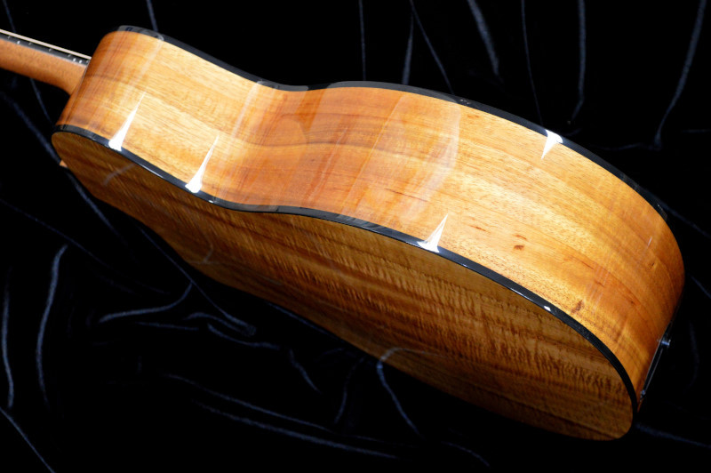 Taylor 224ce-Koa DLX（新品）【楽器検索デジマート】