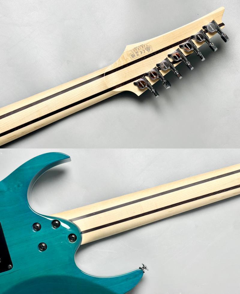 Ibanez 【Spalted Maple Top】【葉月(HAZUKI)Model】HZK1 #F2616501