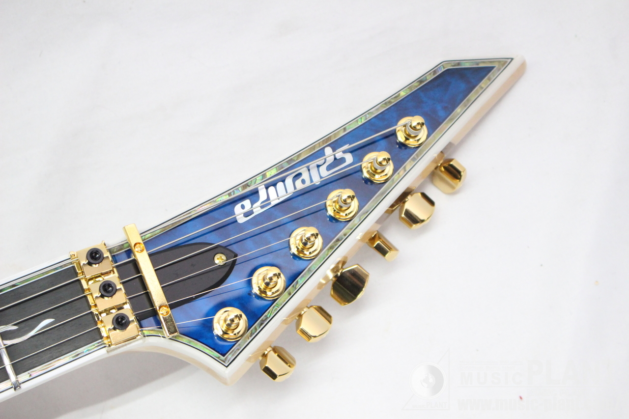 EDWARDS E-CY-CTM DNBL（新品/送料無料）【楽器検索デジマート】