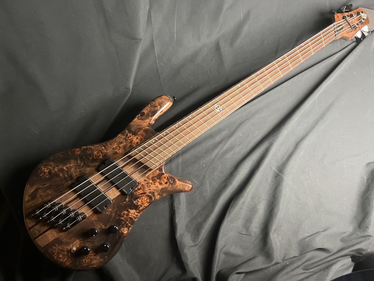 ベース Spector NS dimension-5 NS Dimension 5 - Spector Bass
