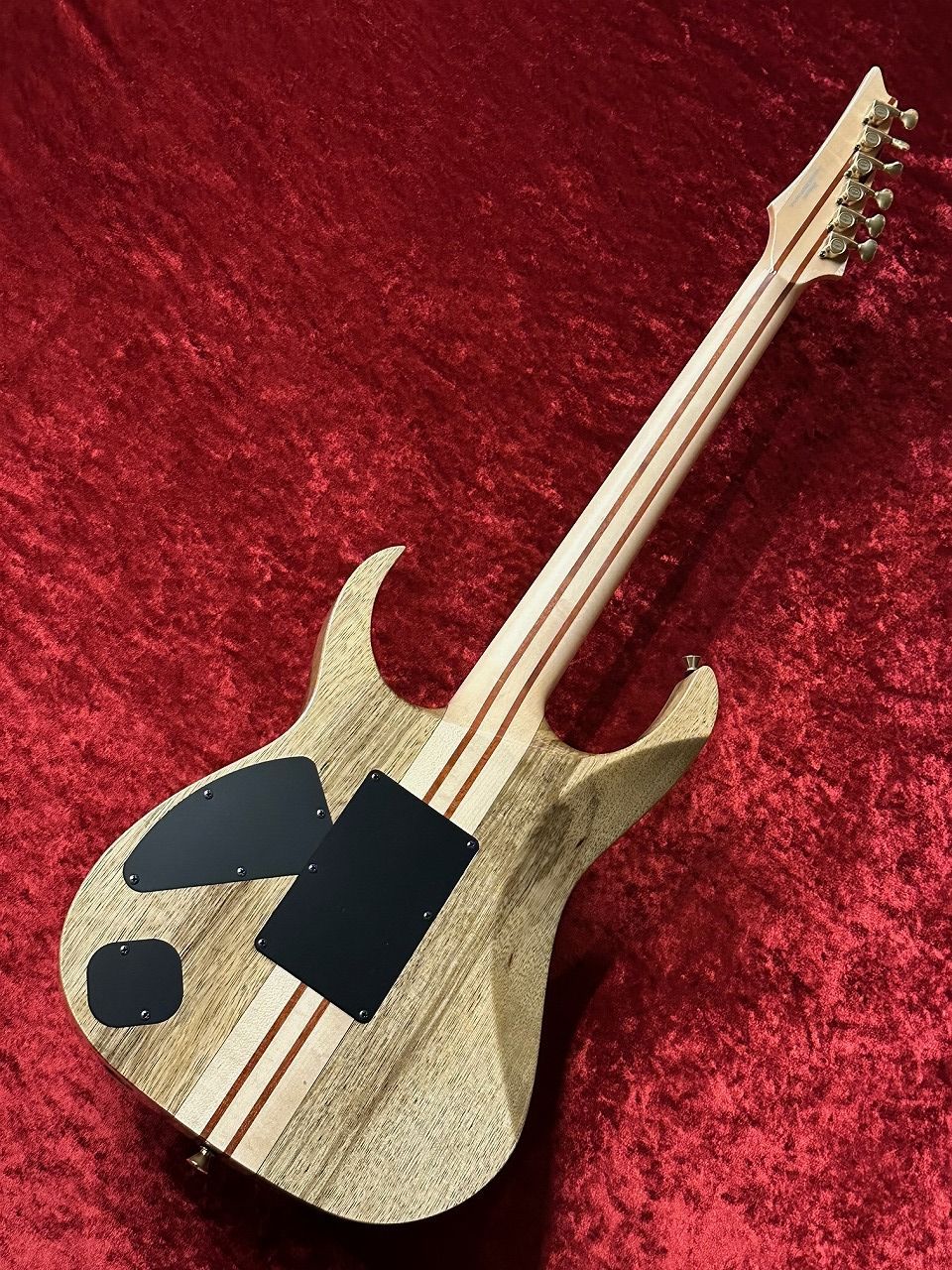Ibanez VISIONS IV2RG ≒3.929Kg （新品/送料無料）【楽器検索デジマート】