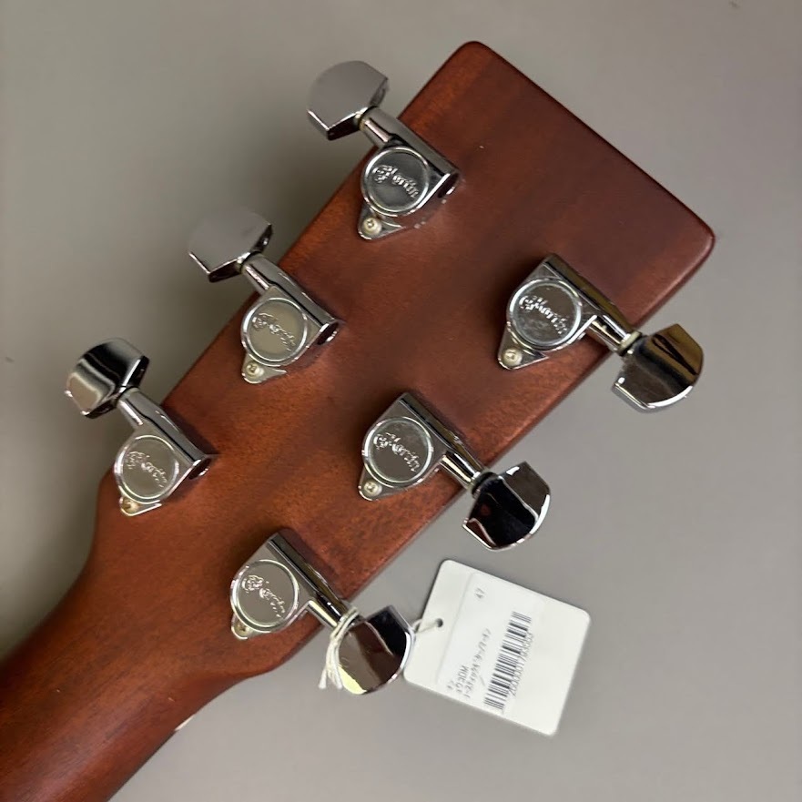 Martin DM（中古/送料無料）【楽器検索デジマート】