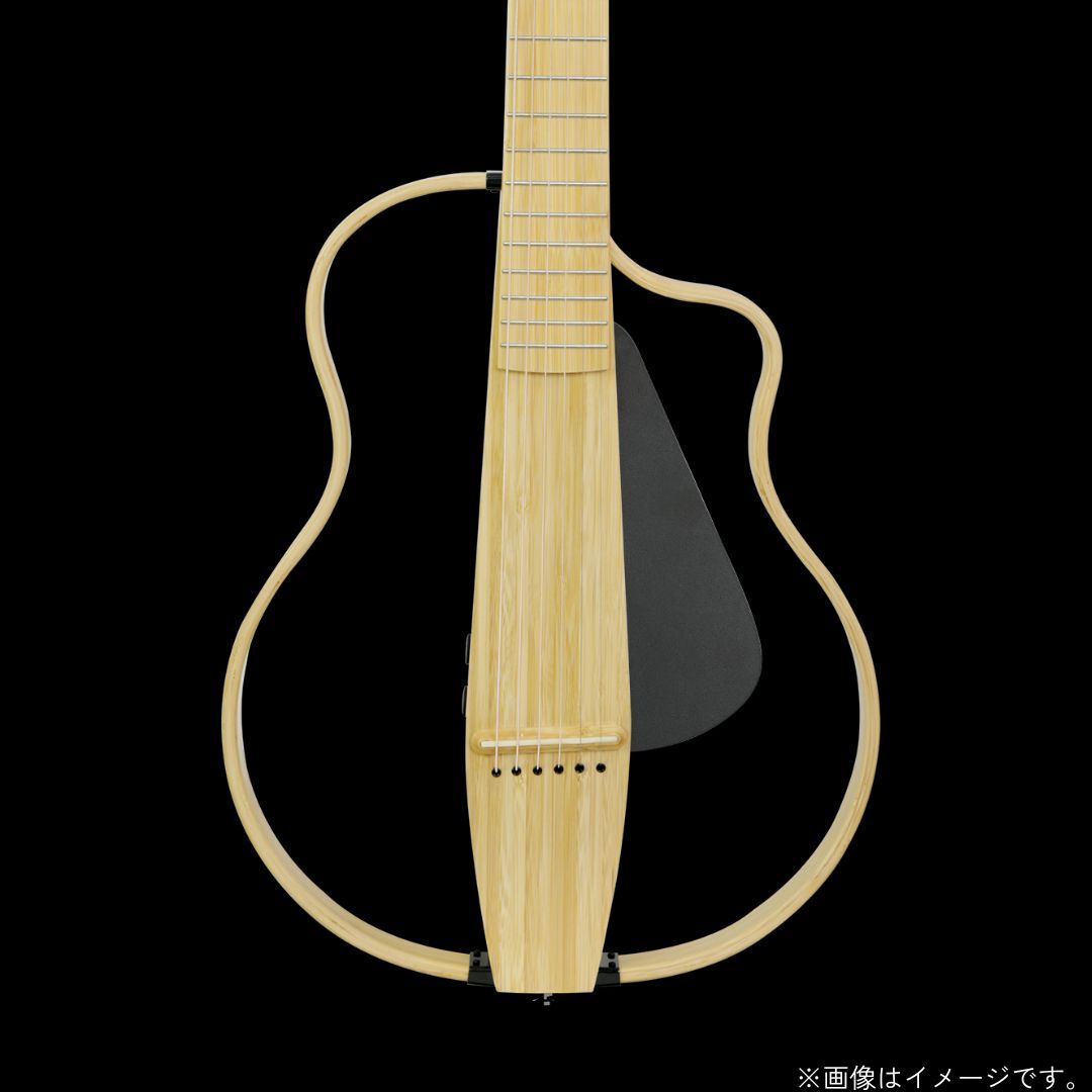 NATASHA NBSG Steel, Natural（新品/送料無料）【楽器検索デジマート】