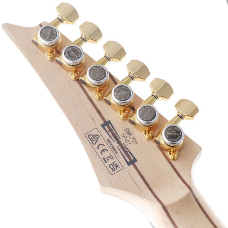 レリック アートデザイン エレキギター Ibanez j.custom Axe Design Lab RG8870-AGT ｜イケベ楽器店