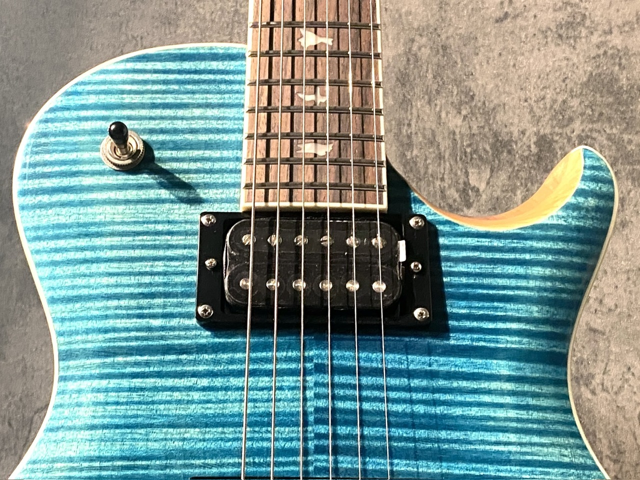 Paul Reed Smith(PRS) 【爽快極上フレイム!!】SE Zach Myers Semi