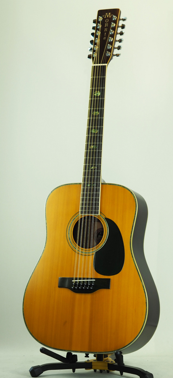 Morris B-50 (管理番号4984)（中古）【楽器検索デジマート】