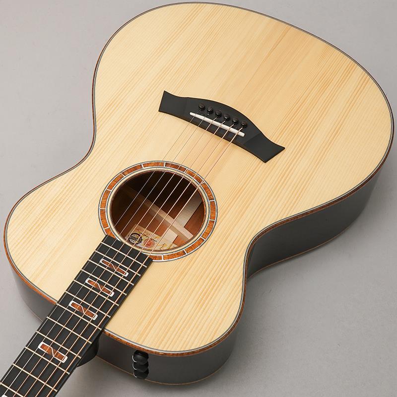 Taylor Custom GC Mahogany/ Adirondack spruce [NAMM 2025 Model C12e