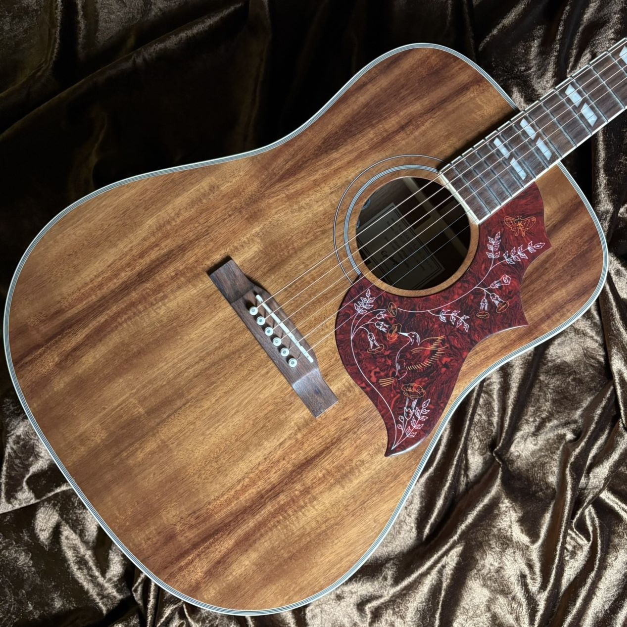 Epiphone Hummingbird Koa Special《現物画像 / 迅速発送