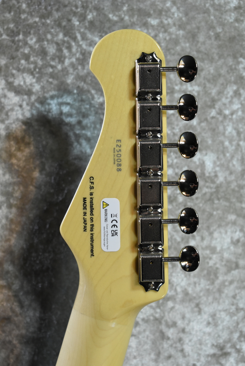 FUJIGEN(FGN) NTE100RAL Black #E250088【3.45kg】【日本製