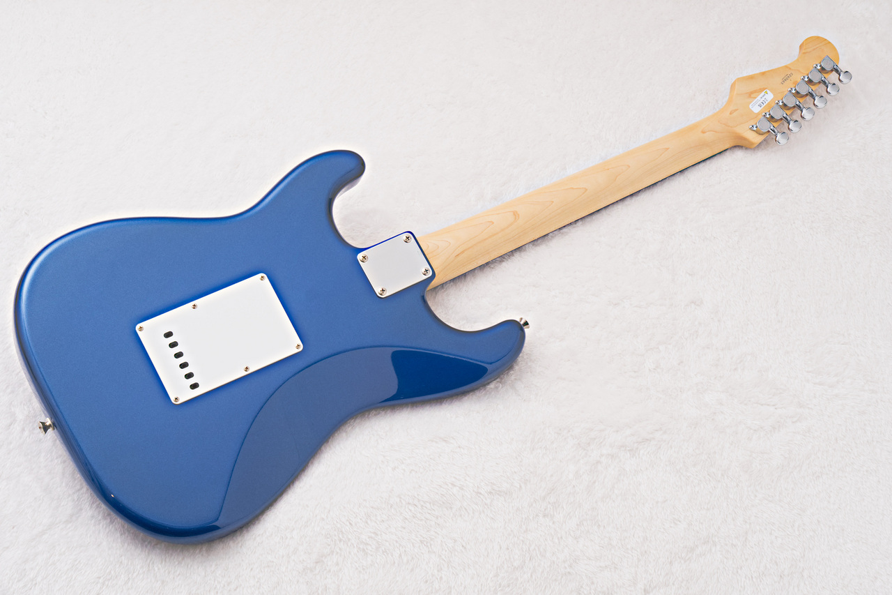 FUJIGEN(FGN) BCST100RBD -Metallic Blue -【3.33kg】【初心者オススメ