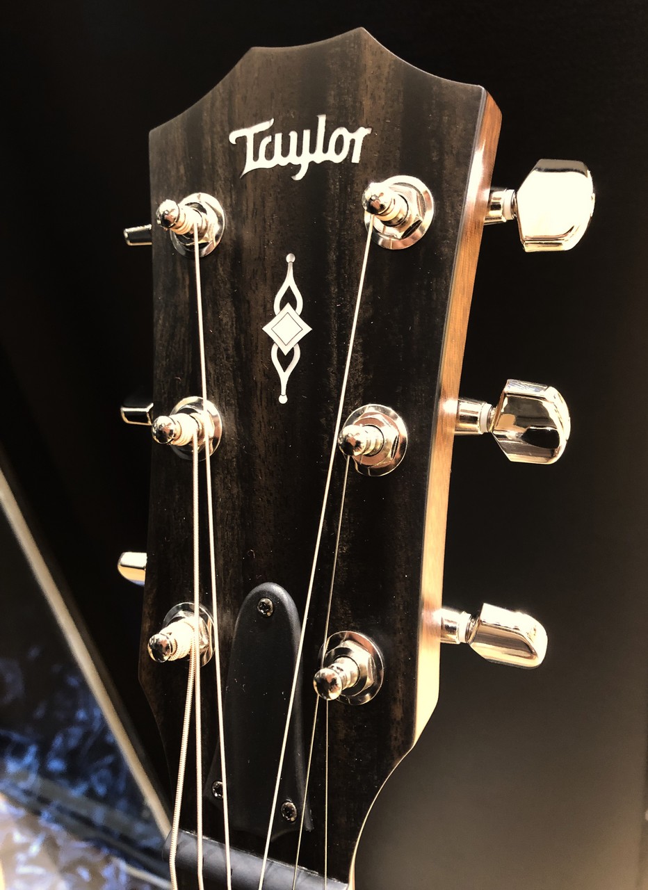 -期間限定値下げ9/7(日)まで!-Taylor312ce-N　¥178.000 Taylor 312ce（新品特価/送料無料）【楽器検索デジマート】
