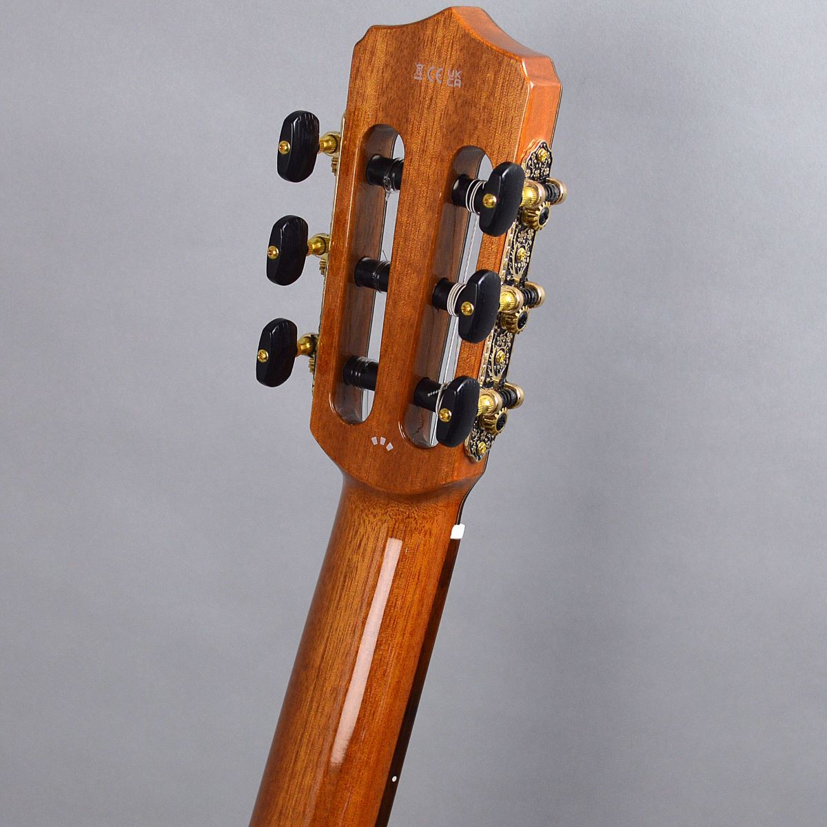 Cordoba STAGE GUITAR Natural Amber エレガットギター（新品/送料無料