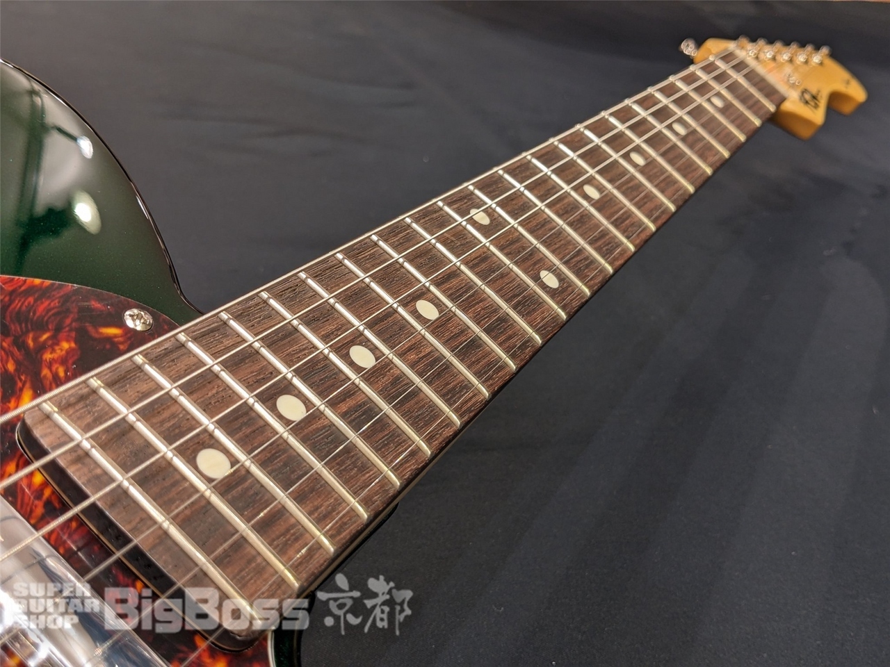 FUJIGEN(FGN) NTE100RAL / Candy Apple Green（新品/送料無料