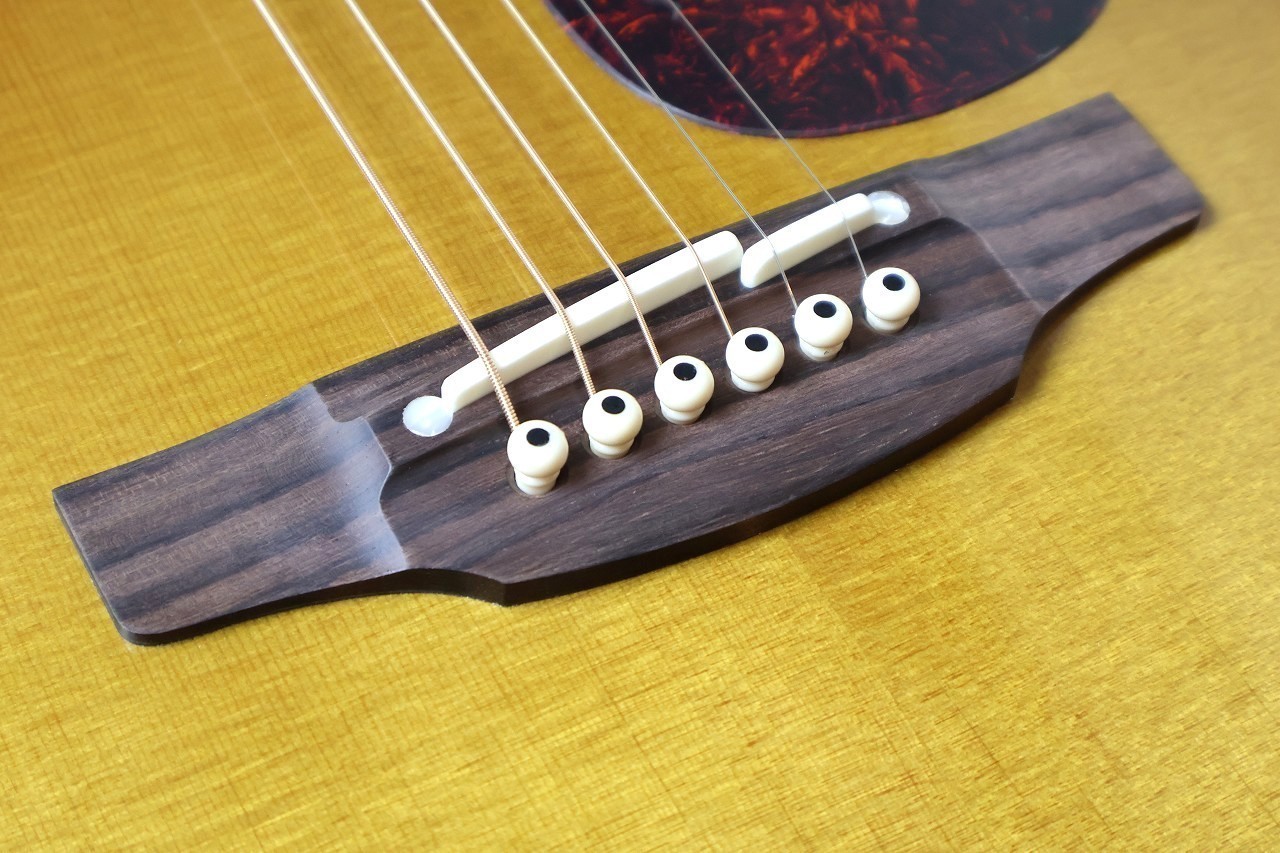 Takamine DMP761C TB #63060016【送料当社負担・分割無金利】（新品