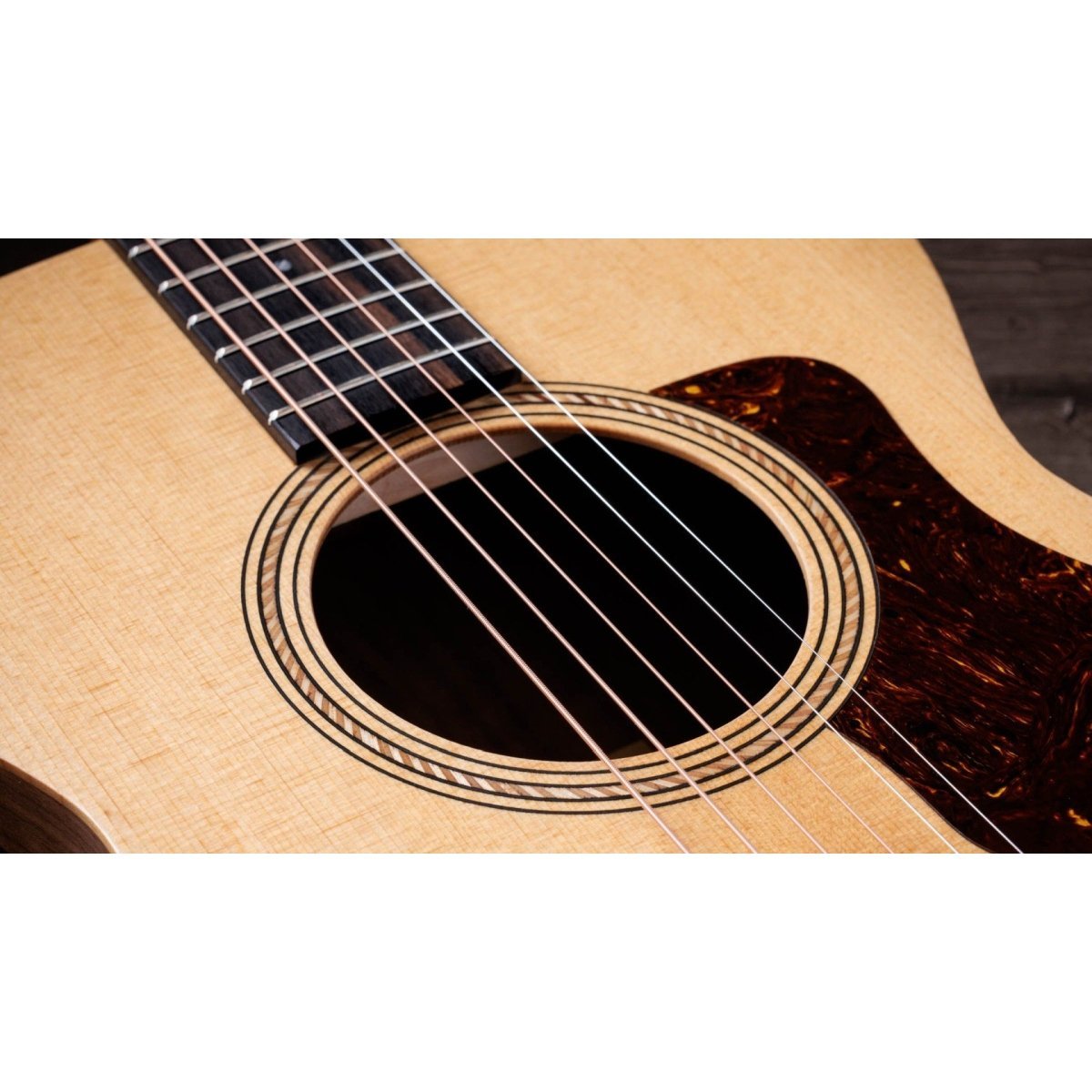 Taylor Academy12e Natural [単板トリファイド・スプルーストップ