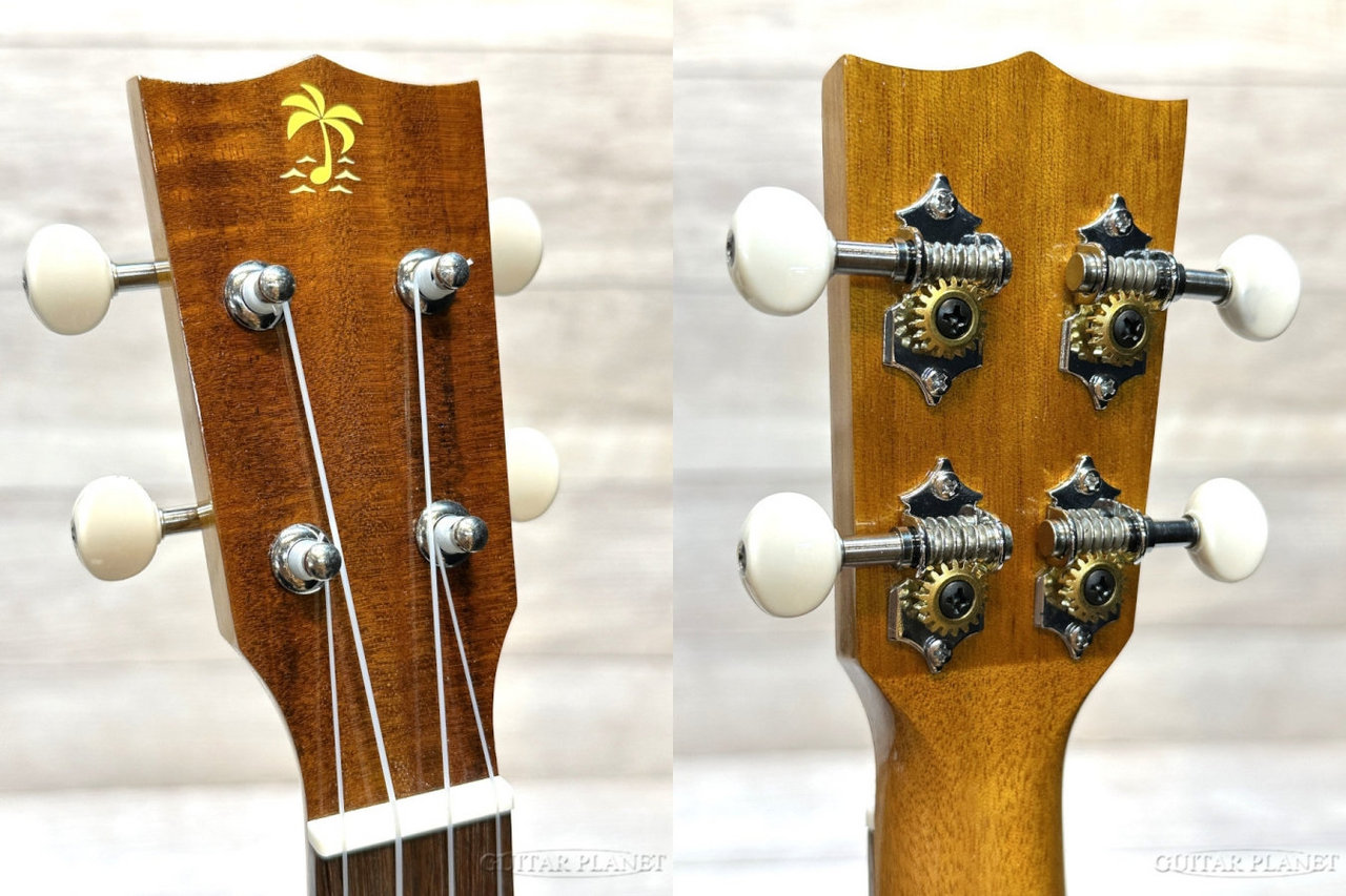ILIKAI IL-SOP-4KSGG 【ソプラノ/ハワイアンコア】【単板モデル】【12