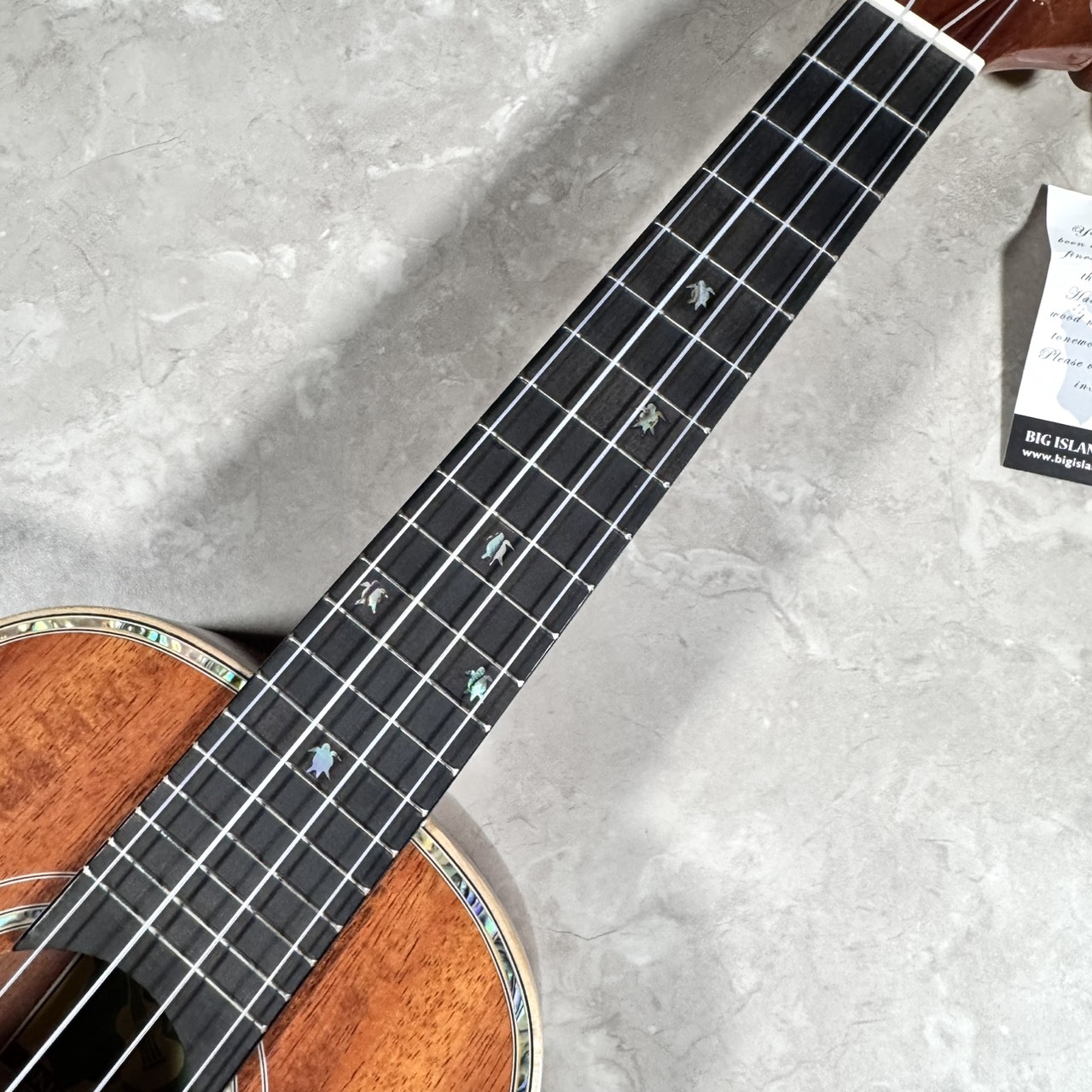 BIG ISLAND KX-CTG コンサートウクレレ KX Deluxe Series ビッグ