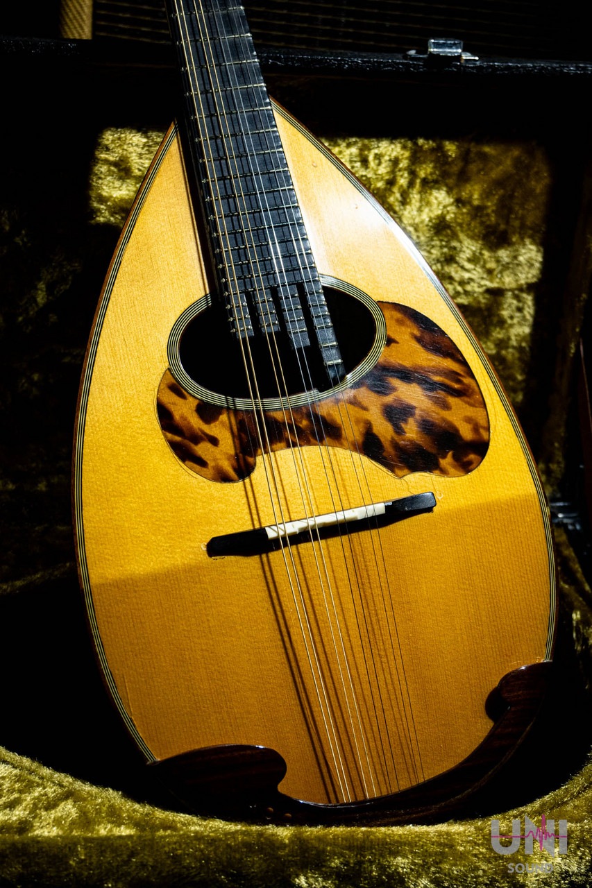 Raffaele Calace Classico A / 1988（中古）【楽器検索デジマート】